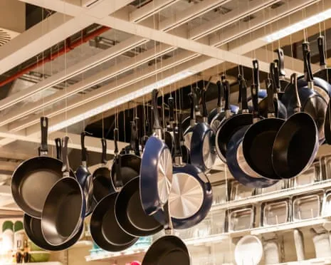 Non-Stick Eating, Garlic Milk and Zebra Cows Excel at 2025 Alternative Science Honors