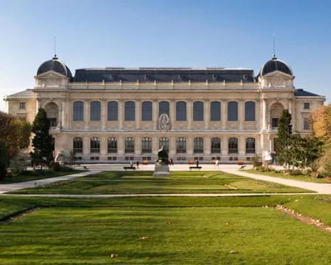 Invaluable Gold Samples Snatched in Audacious Robbery at French Natural History Institution