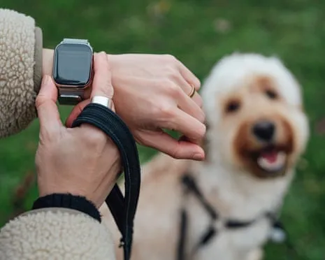 The Truth About Smartwatches? Life Feels Fuller Lacking a Nagging Gadget on Your Arm